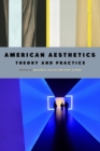 Image for American aesthetics  : theory and practice
