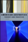 Image for American Aesthetics: Theory and Practice