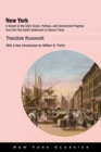 Image for New York: A Sketch of the City&#39;s Social, Political, and Commercial Progress from the First Dutch Settlement to Recent Times