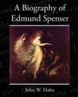 Image for A Biography of Edmund Spenser