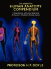 Image for THE Essential Human Anatomy Compendium