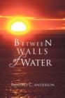 Image for Between Walls of Water