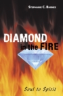 Image for Diamond in the Fire : Soul to Spirit