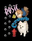 Image for Rosie and Crumb