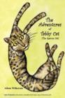 Image for The Adventures of Tabby Cat (The Rescue Cat)