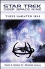 Image for These Haunted Seas: Star Trek: Mission Gamma Omnibus