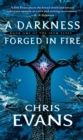 Image for Darkness Forged in Fire: Book One of the Iron Elves
