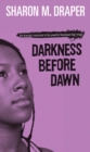 Image for Darkness before dawn