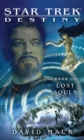 Image for Star Trek: Destiny: Lost Souls