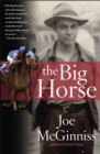 Image for Big Horse