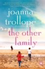 Image for The Other Family : A Novel