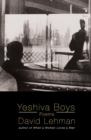 Image for Yeshiva Boys : Poems