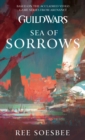 Image for Guild Wars: Sea of Sorrows