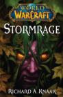 Image for World of Warcraft: Stormrage: World of Warcraft Series Book 7