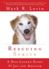 Image for Rescuing Sprite