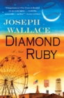 Image for Diamond Ruby: A Novel