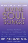 Image for Divine soul songs: sacred practical treasures to heal, rejuvenate, and transform you, humanity, Mother Earth, and all universes