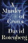 Image for A Murder of Crows : Second Book of the Junction Chronicles