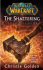 Image for World of Warcraft: The Shattering