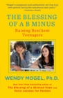 Image for Blessing of a B Minus: Using Jewish Teachings to Raise Resilient Teenagers