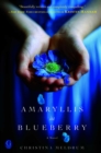 Image for Amaryllis in Blueberry