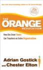 Image for The orange revolution: how one great team can transform an entire organization