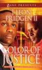 Image for Color of justice
