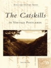 Image for Catskills in Vintage Postcards, The