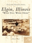 Image for Elgin, Illinois
