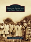 Image for African Americans of Giles County