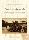 Image for Wildwoods in Vintage Postcards, The