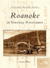 Image for Roanoke in Vintage Postcards