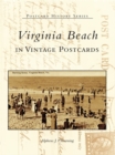 Image for Virginia Beach in Vintage Postcards
