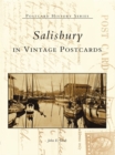 Image for Salisbury in Vintage Postcards