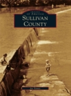 Image for Sullivan County