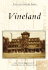 Image for Vineland