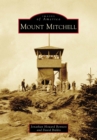 Image for Mount Mitchell