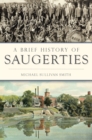 Image for Brief History of Saugerties