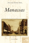 Image for Manassas: a place of passages