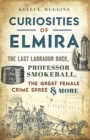 Image for Curiosities of Elmira: the last labrador duck, professor smokeball, the great female crime spree &amp; more