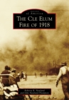 Image for Cle Elum Fire of 1918