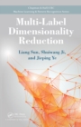 Image for Multi-label dimensionality reduction