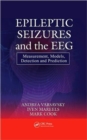 Image for Epileptic Seizures and the EEG