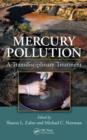 Image for Mercury pollution  : an interdisciplinary overview