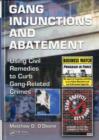 Image for Gang injunctions and abatement: using civil remedies to curb gang-related crimes