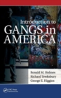 Image for Introduction to Gangs in America