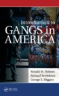 Image for Introduction to gangs in America