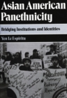 Image for Asian American Panethnicity: Bridging Institutions and Identities