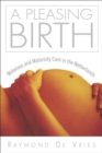 Image for A pleasing birth: midwives and maternity care in the Netherlands