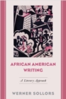 Image for African American writing  : a literary approach